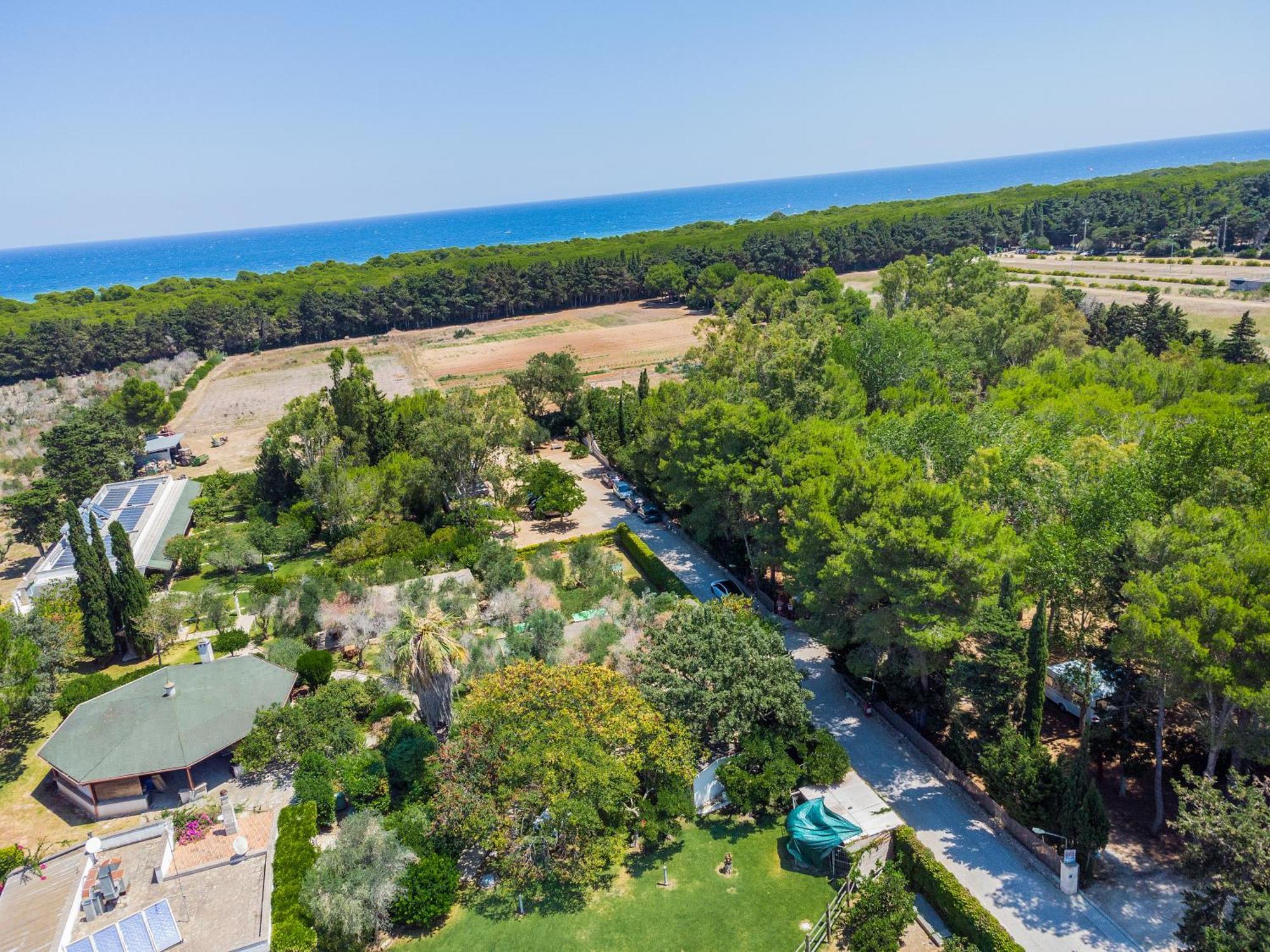 Bio Agriturismo Salos Alimini Buitenkant foto